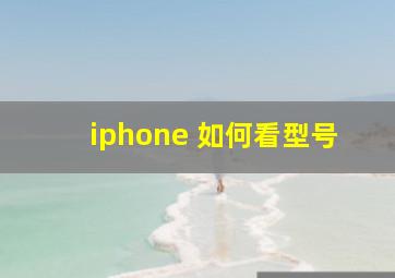 iphone 如何看型号